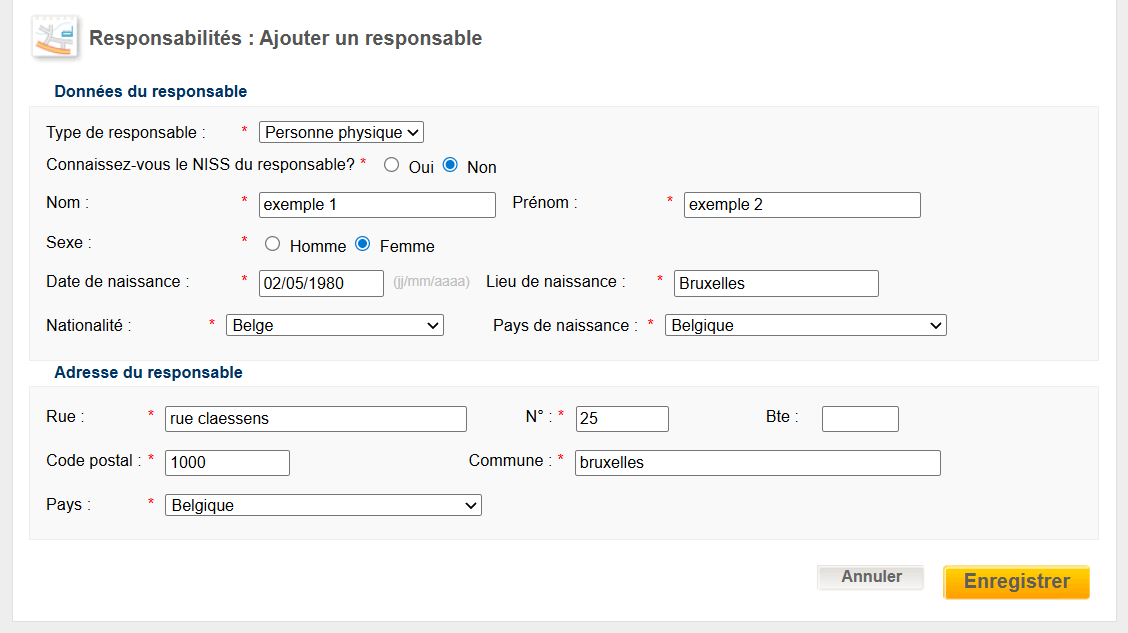 WIDE: responsibilitWIDE: responsibilites; responsible person - Natural person - NSSO number unknown WIDE: responsibilities; add a responsible person - Natural person - when you don't know the NSSO number
